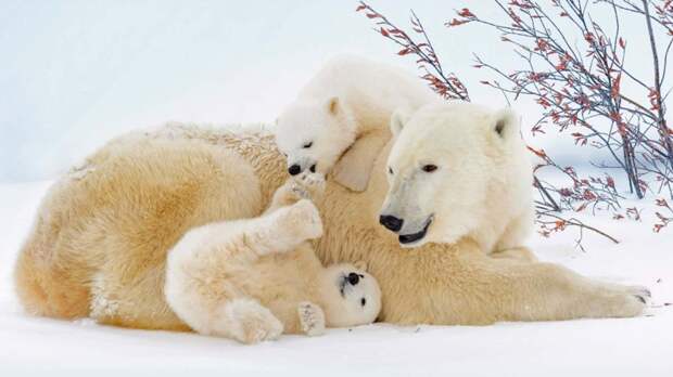 Праздники 29 декабря: государственные, профессиональные, религиозные, народные, дни памяти