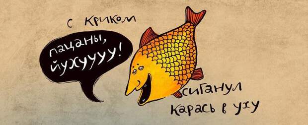 Специфический юмор в комиксах российской художницы