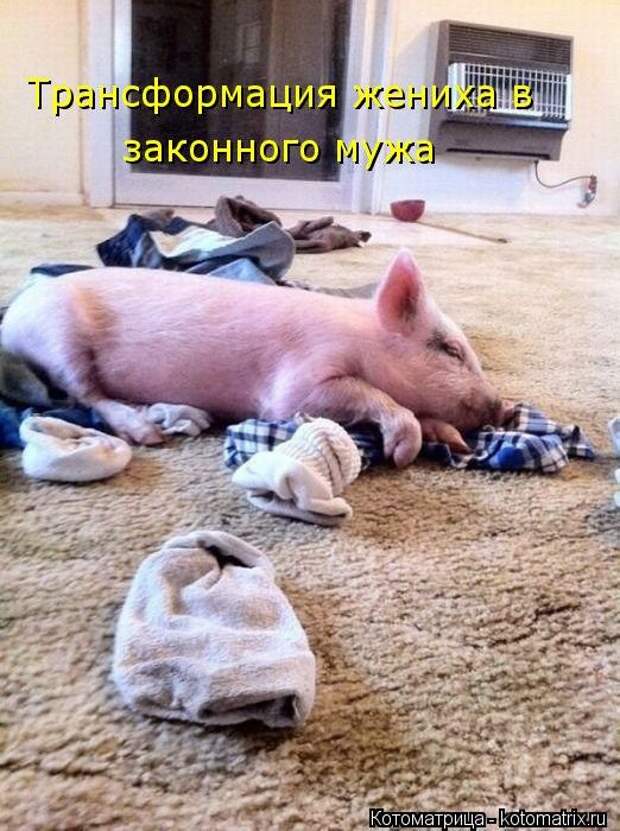 смешинка