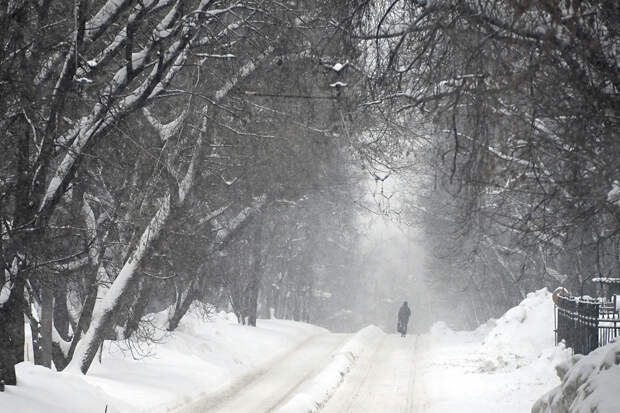 Москвичей предупредили о нашествии насекомых