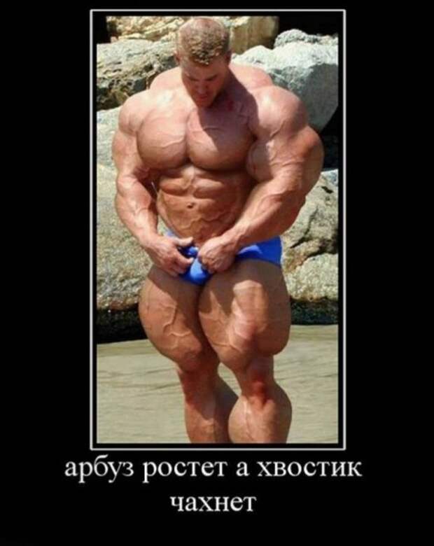 Демотиваторы Демотиваторы