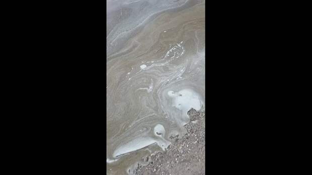 Обстановка на побережье Одессы https://t.me/webmoney_dn/308724Video: Видео от Донецкая группа новостей|Донецк.ДНР