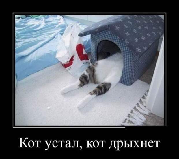 Новые прикольные демотиваторы (38 шт)