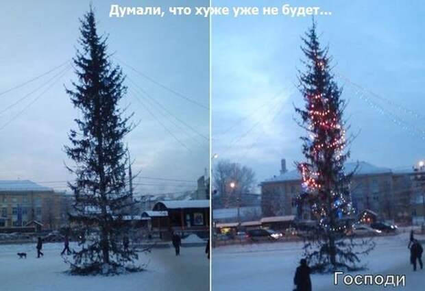 Новогодняя минутка юмора Новогодняя минутка юмора