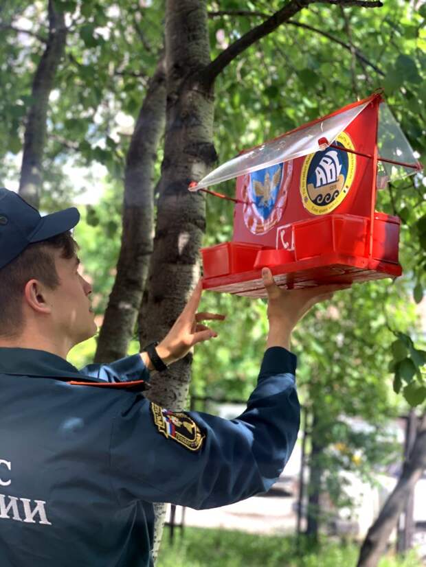 Столовая для пернатых ЮВАО. Фото МЧС Москвы по ЮВАО