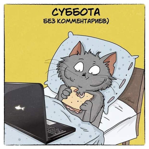 Коллекция весёлых картинок про субботу