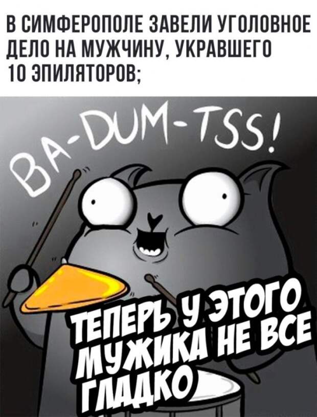Стендап-кот и его коллекция саркастических комиксов Стендап-кот и его коллекция саркастических комиксов