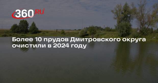 Более 10 прудов Дмитровского округа очистили в 2024 году