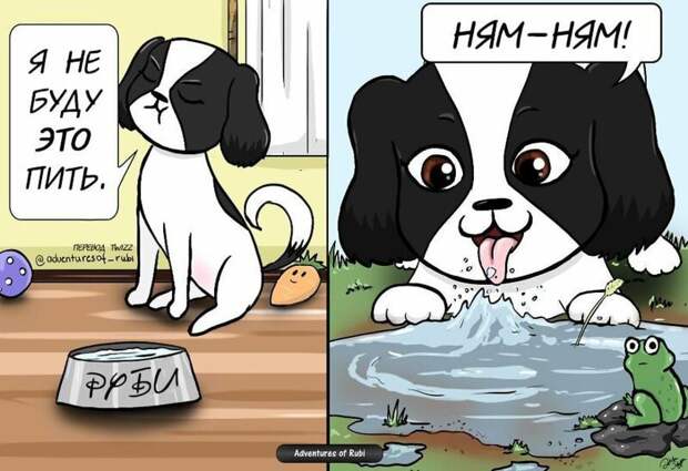 17 комиксов о жизни собачки Руби, которые развеселят каждого, кто хотя бы день прожил с собакой домашний питомец, комикс, позитив, рисунок, собака, умора, юмор