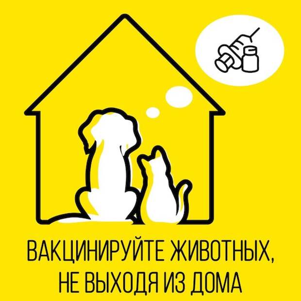 вакцинация животные