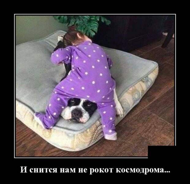 Демотиваторы (30 фото)