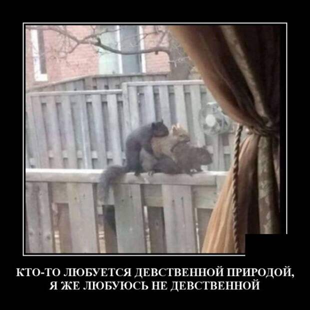 Демотиваторы (20 фото)