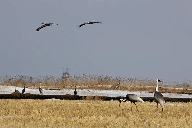 147.38 КБ