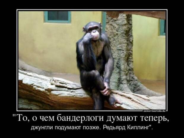 30 демотиваторов дня от 19-02-2014