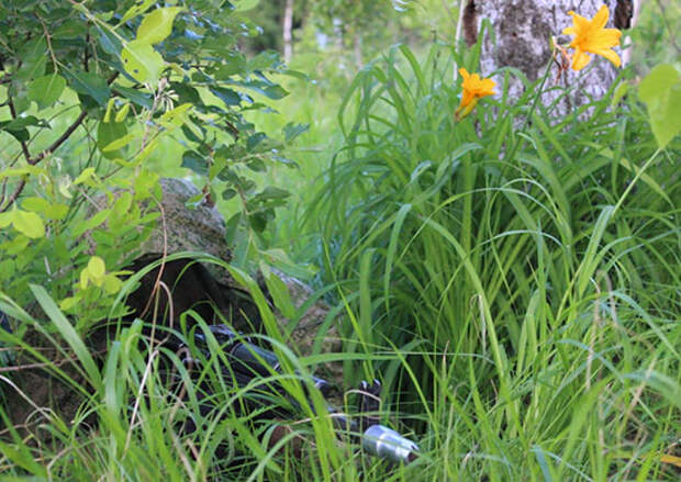 Разведчики общевойсковой армии ВВО в Приморье осваивают методику скрытного проникновения на объекты условного противника