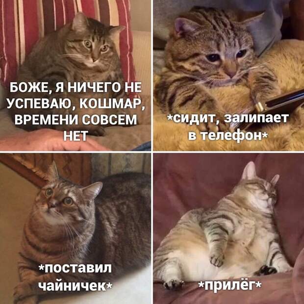 В этом весь я