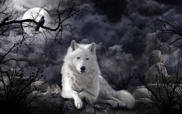Обои на монитор | Фэнтези | ночь, луна, волк, искусство