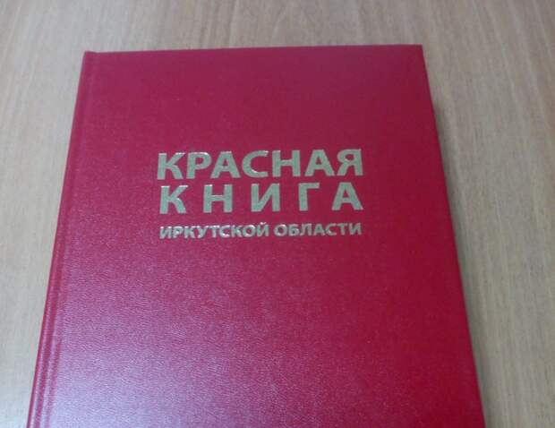 Красную книгу Иркутской области обновили