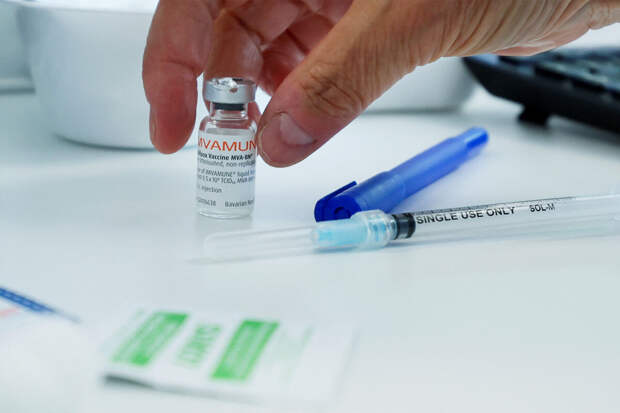 Онищенко: обстановку с распространением оспы обезьян нужно контролировать