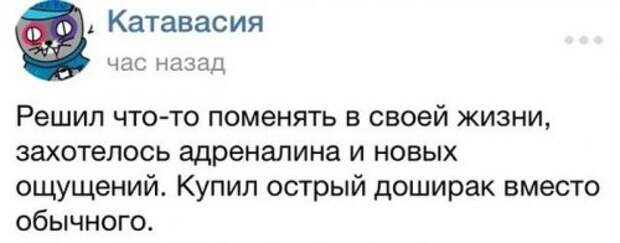 Свежие фото-приколы для всех (49 шт)