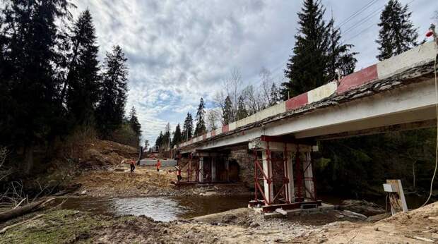 Дорожники Подмосковья капитально ремонтируют 23 моста в 16 округах