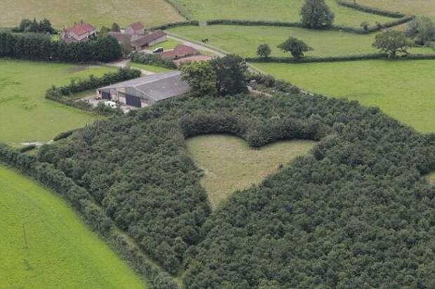 В память о жене