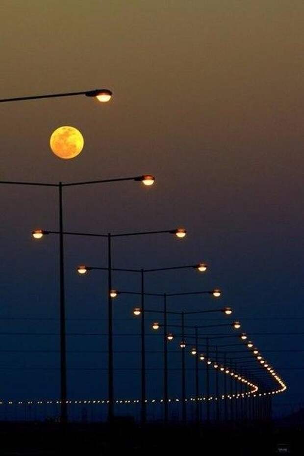 Позитивные фотографии на утро