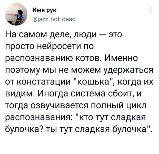 Подборка забавных твитов обо всем