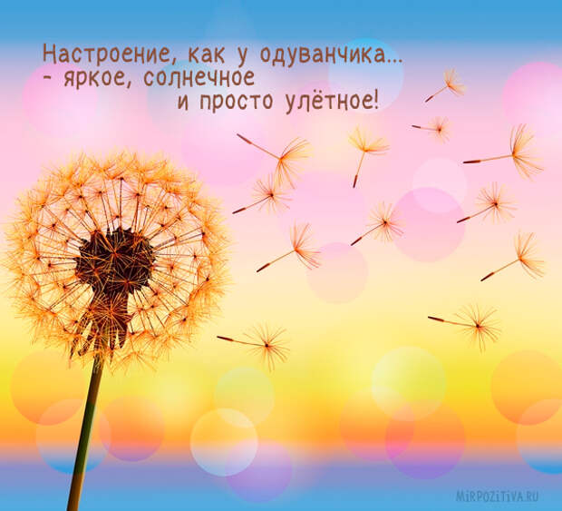 Картинки позитивные Картинки позитивные