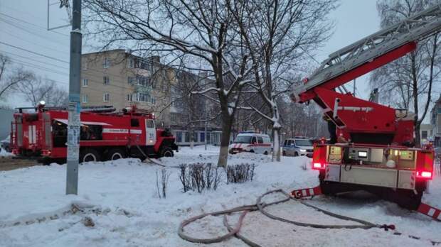 Пожарные спасли двух человек из горящей квартиры под Тулой