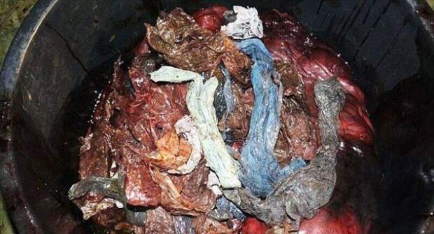 Содержимое желудка кита, в котором обнаружили 36 килограмм мусора. 