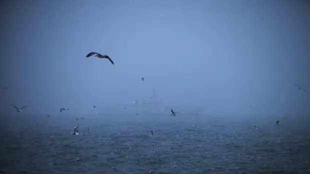 ФСБ России предупредила об угрозе дрейфа украинских якорных мин в сторону Босфора