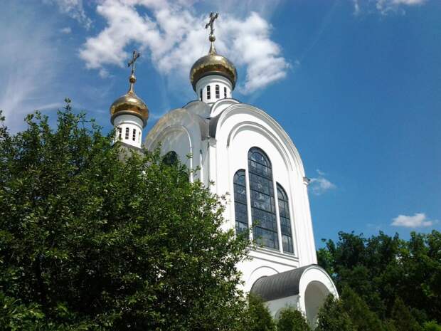 Гороскоп для всех знаков зодиака