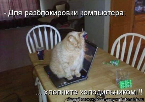 Милая котоматрица