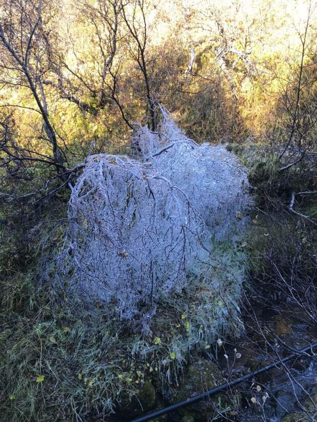kartinok-veselyh-interesnyh-kartinki-smeshnye-kartinki-fotoprikoly