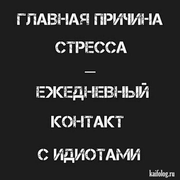 Самые прикольные цитаты недели (40 картинок)