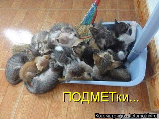 Котоматрица: ПОДМЕТки...