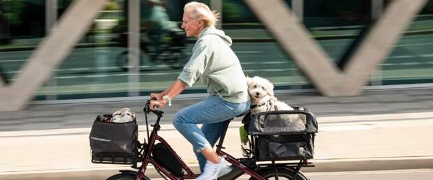 Tern представила модульный грузовой электровелосипед для всей семьи