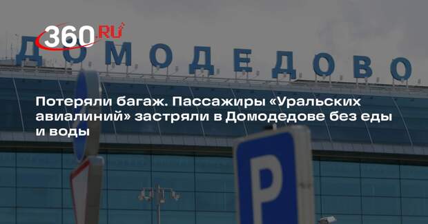 Mash: 150 пассажиров «Уральских авиалиний» застряли в Домодедове из-за багажа
