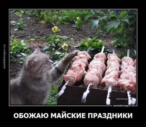 Прикольные демотиваторы с надписями. Подборка chert-poberi-dem-chert-poberi-dem-09310421092020-13 картинка chert-poberi-dem-09310421092020-13