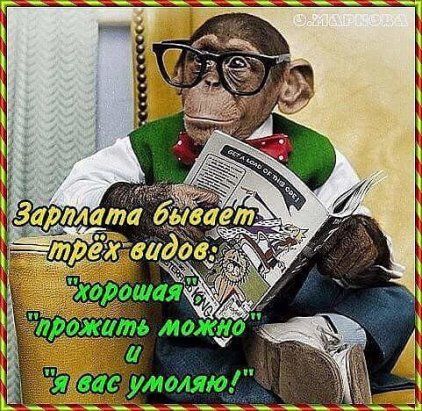 Мужчина без материальных проблем - это тот, кого женщины ищут...