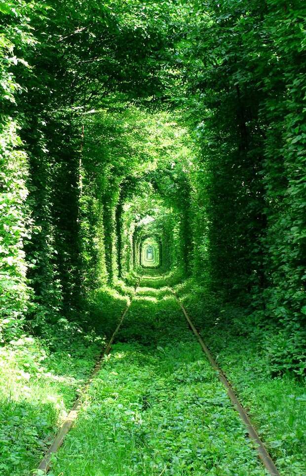 Места, которые нужно увидеть воочию SurrealPlaces47 Места, которые нужно увидеть воочию
