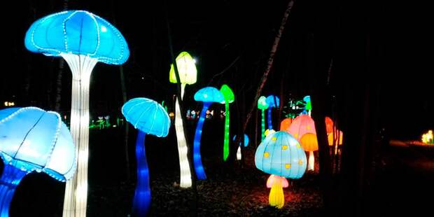 Фото: пресс-служба