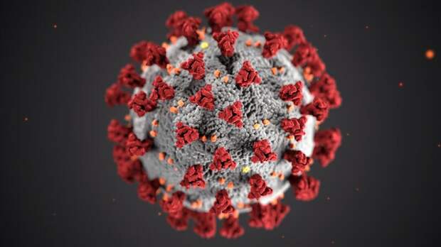 В Демократической Республике Конго обнаружен вирус с «пандемическим потенциалом»
