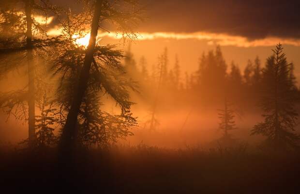 Фотография: 20 лучших снимков, сделанных на рассвете №6 - BigPicture.ru
