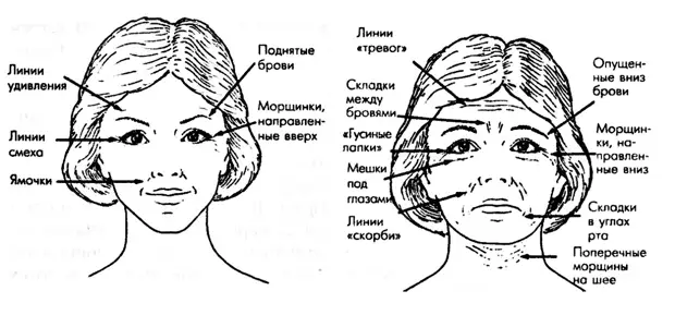 files - свободный доступ