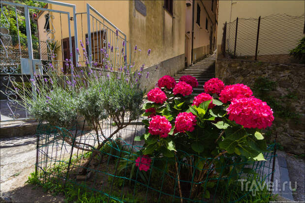 Manarola - прогулка по городу / Фото из Италии