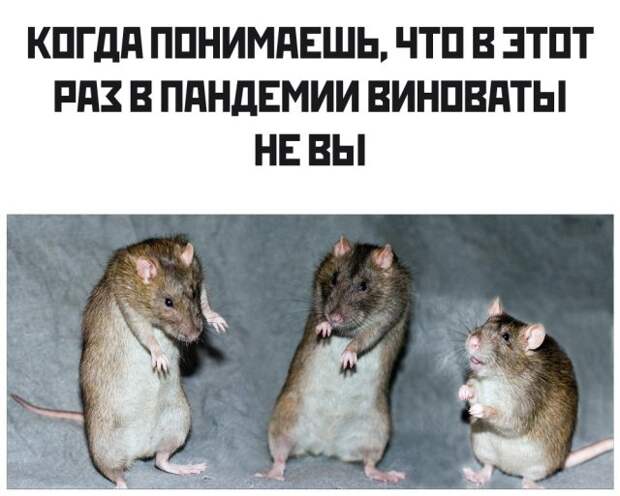 Смешные фото вечер 23 марта