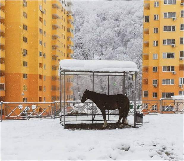 фото приколы