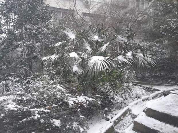 До 15 см снега: в Сочи готовятся к предновогодней непогоде